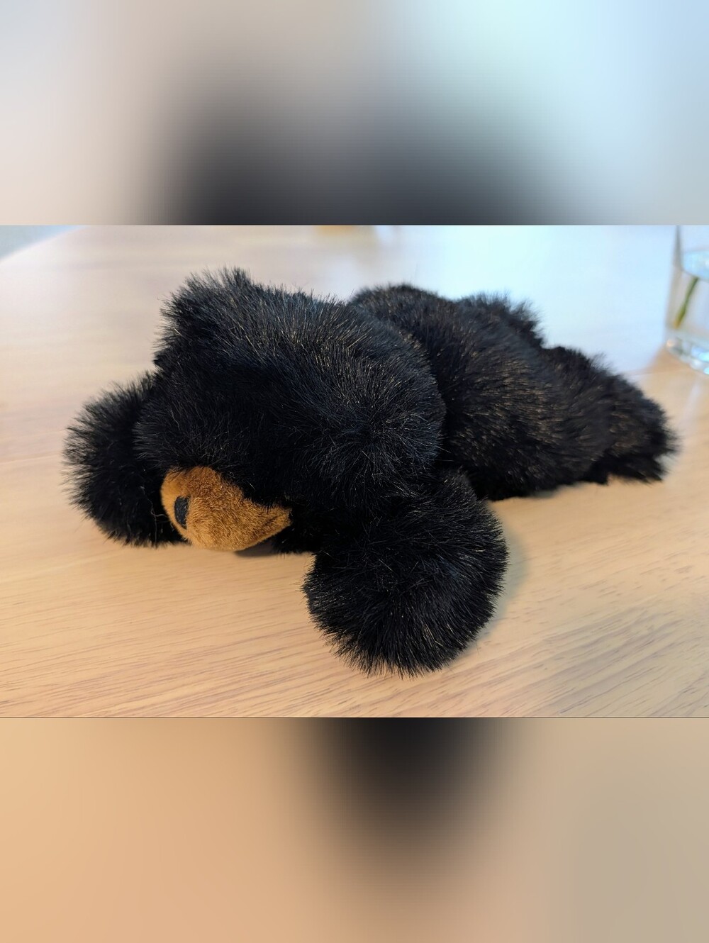 Brand New Black Plush Bear